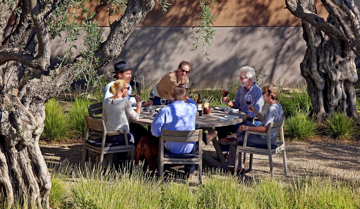 Lunch at Continuum Estate