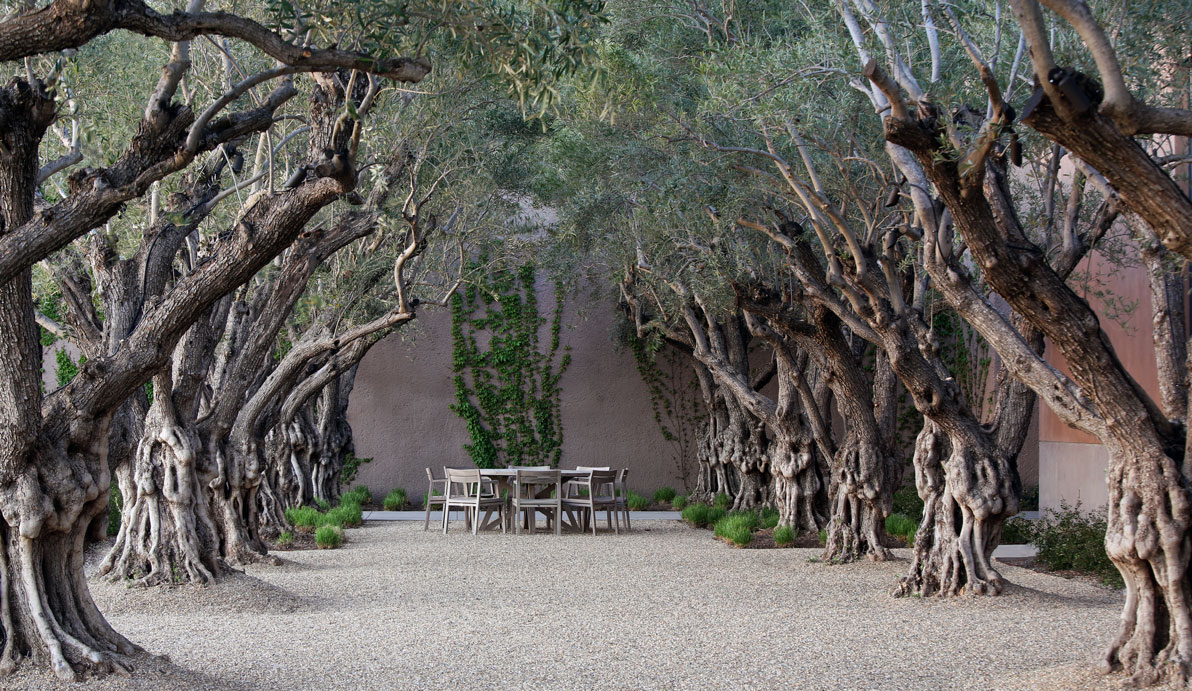 Courtyard at Continuum Estate