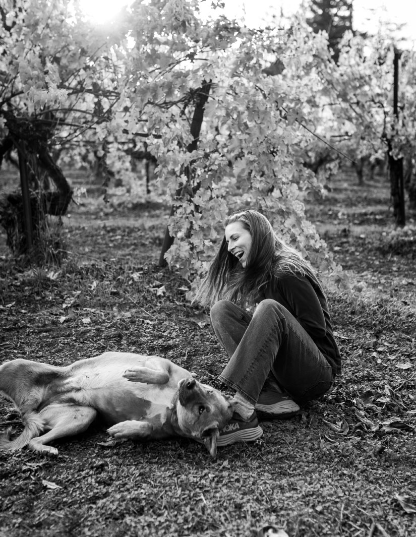 Image 3 of 3,Sentium wine close image of a vine, lady playing with her dog in a vineyard, granite heart shaped stone.